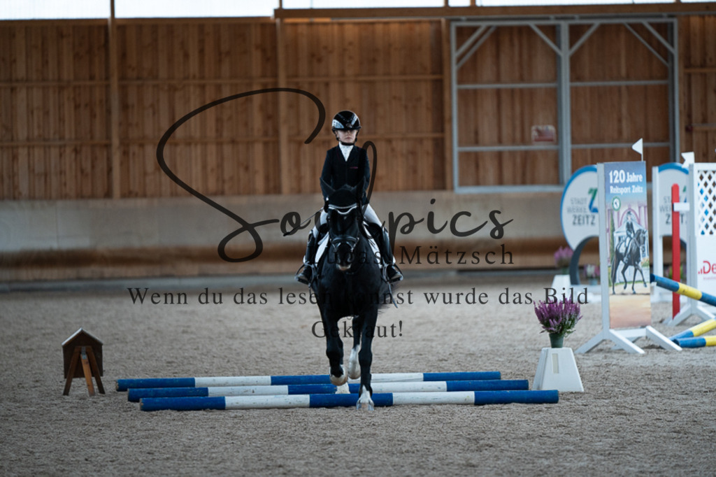 A7V02950 | Pferdefotograf