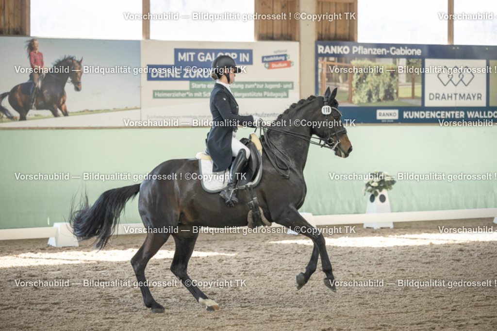 _D5A1066 | Emotionale Pferde- & People-Fotografie rund um Heidelberg, Leimen & Umgebung. Natürliche Fotos von Pferd, Mensch & Familie. Jetzt Termin sichern!