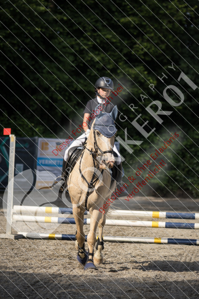 IMG_5929 | Sport-, Event- und Tierfotos in Profiqualität. Einfach auswählen, bestellen und herunterladen. Dein Moment – perfekt festgehalten.