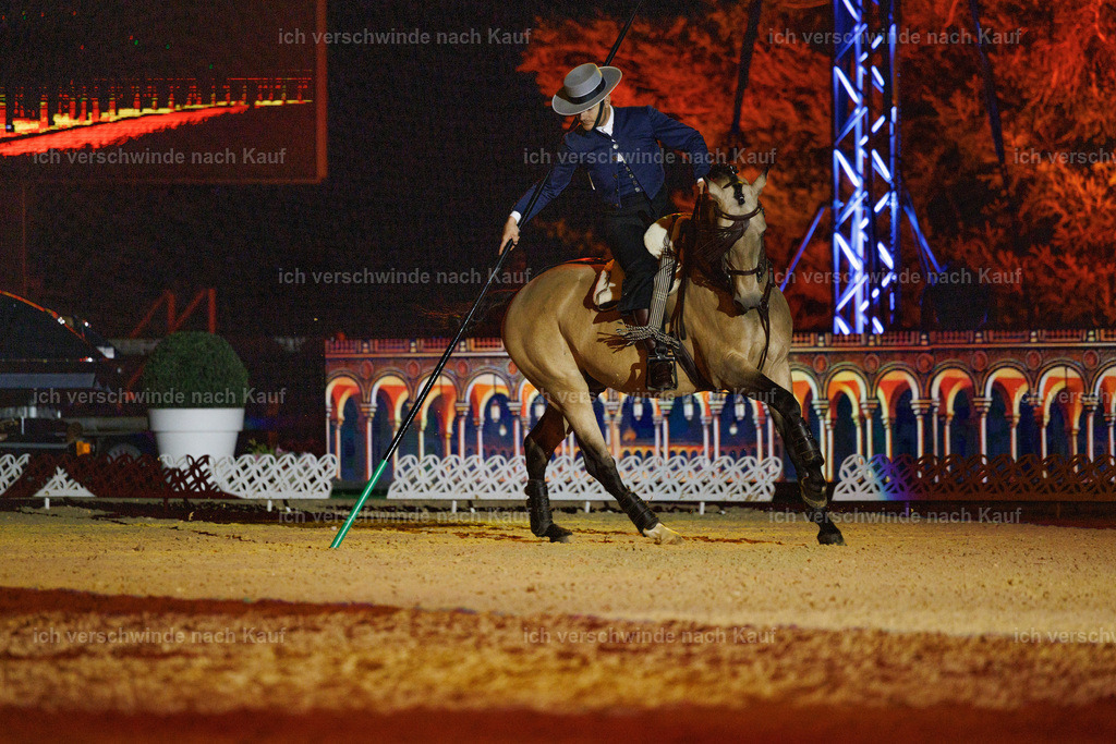 FHClassics-183 | working equitationturnier fotograf videograf stoibphotography marixx film working equitation deutschland reitsport turnierfotografie eventfotografie equestrian events