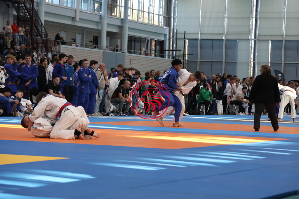 1J7A2347 | Fotos vom Adler Cup - Pictures from Adler Cup

Hier findet Ihr alle Eindrücke und großen Momente der Adler Cup Wochenenden. Here you will find all impressions and great moments of the Adler Cup weekends. - Realisiert mit Pictrs.com