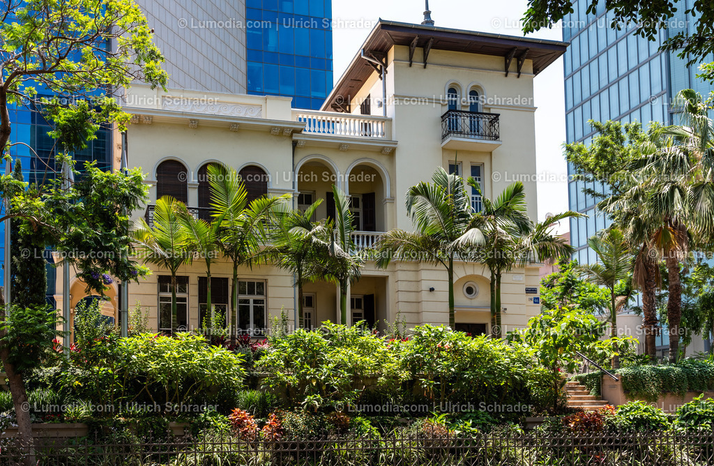 10972-10170 - Tel Aviv - Rothschild Boulevard | Stockfoto und Bilderpool mit Bildmaterial aus Deutschland, dem Harz, Halberstadt, Quedlinburg, Wernigerode und weltweit. Qualitativ hochwertige und professionelle Fotos anschauen und kaufen. - Realisiert mit Pictrs.com