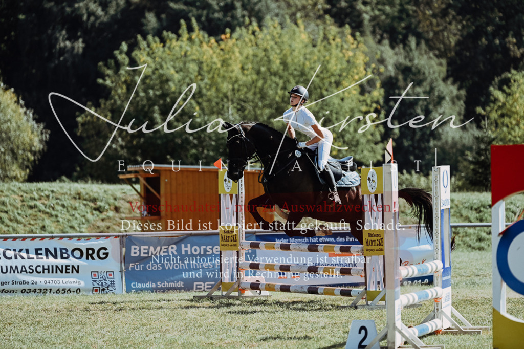 DSC_6670 | Pferde- und Turnierfotografie in Westsachsen. Pferdeportraits, Auftragszeichnungen und intuitive Kunst.