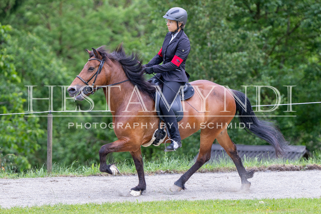 KAI01336 | Ihr sucht einen Fotografen für eure nächste OSI? Ich begleite auch euer Turnier für Islandpferde fotografisch.  - Realisiert mit Pictrs.com