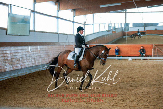 _62_6196 | Turniersportfotografie; Pferdefotografie; Dressurfotografie