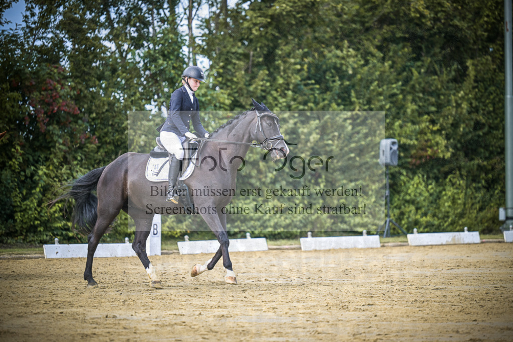 DOS_5835 | Entdecke hochwertige Reitturnierfotos von Foto Oger. Professionell, emotional und authentisch – jetzt Lieblingsmomente im Shop bestellen.Deutschlandweite Turnierfotografie. - Realisiert mit Pictrs.com