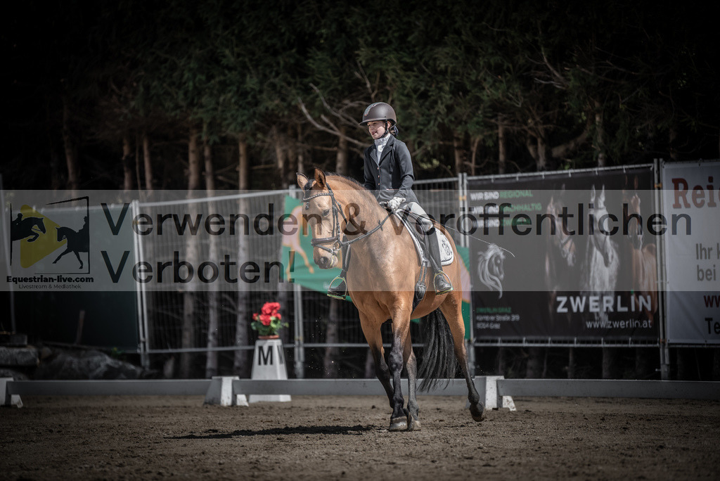 DSC_0816 | equestrian-live-com