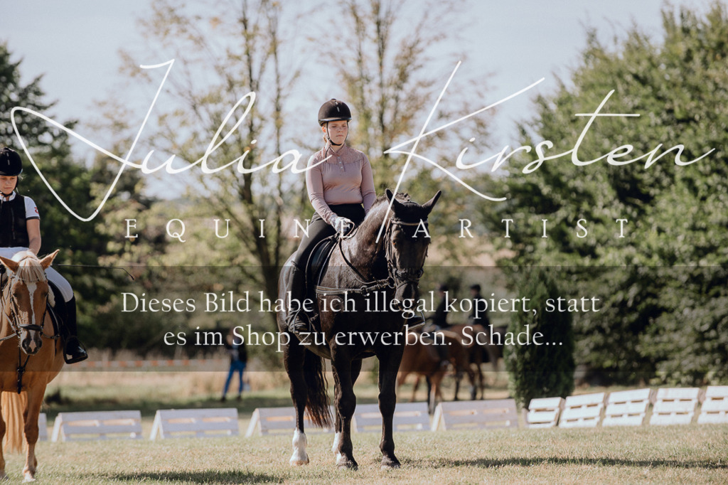 DSC_7158 | Pferde- und Turnierfotografie in Westsachsen. Pferdeportraits, Auftragszeichnungen und intuitive Kunst.