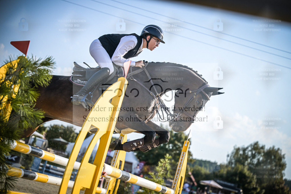 DOS_1122 | Entdecke hochwertige Reitturnierfotos von Foto Oger. Professionell, emotional und authentisch – jetzt Lieblingsmomente im Shop bestellen. - Realisiert mit Pictrs.com