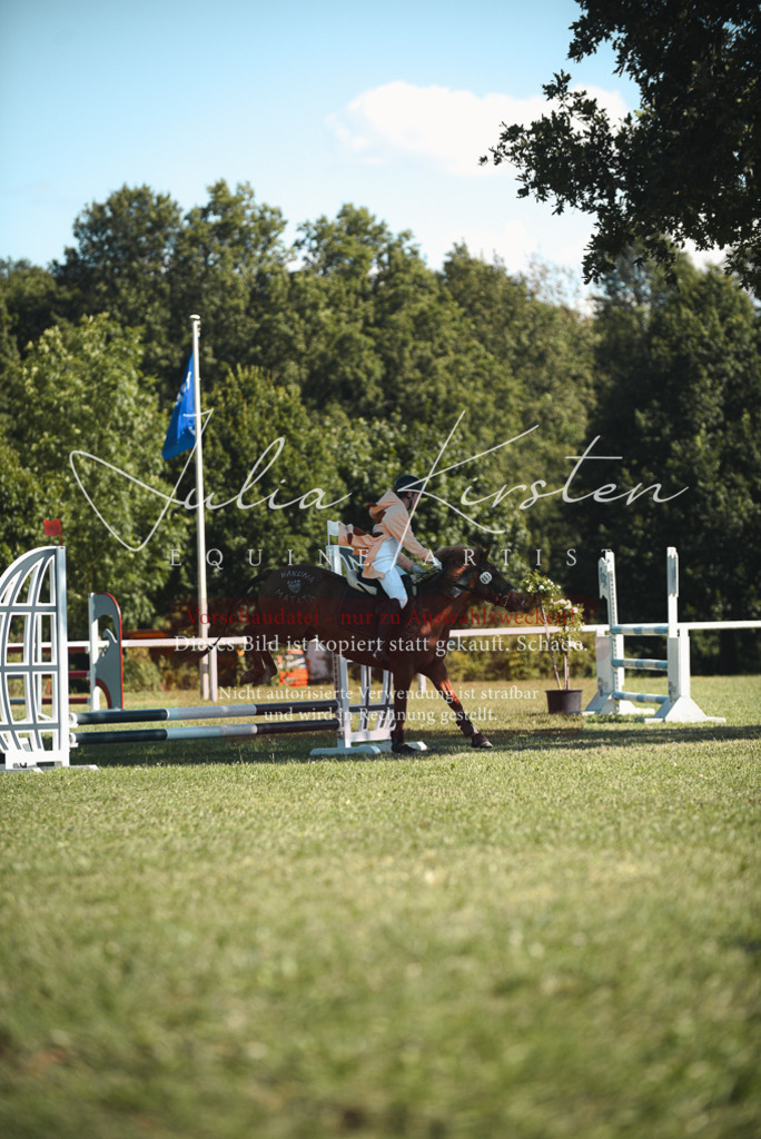 DSC_7378 | Pferde- und Turnierfotografie in Westsachsen. Pferdeportraits, Auftragszeichnungen und intuitive Kunst.