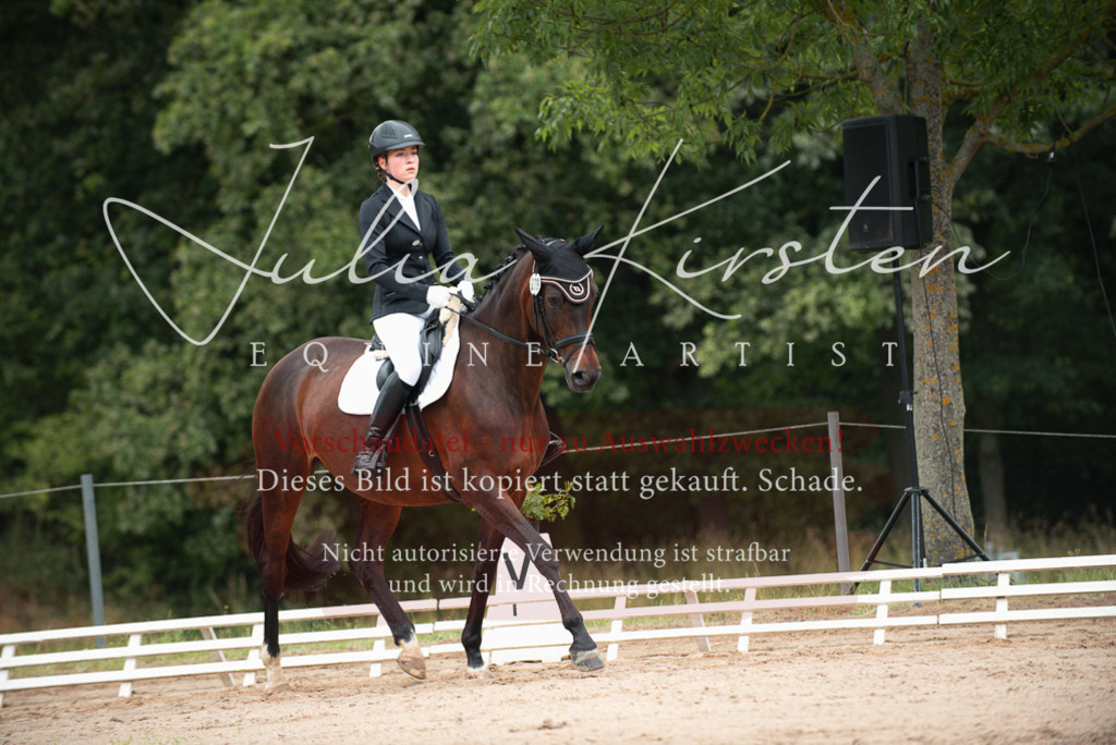 DSC_9580 | Pferde- und Turnierfotografie in Westsachsen. Pferdeportraits, Auftragszeichnungen und intuitive Kunst.