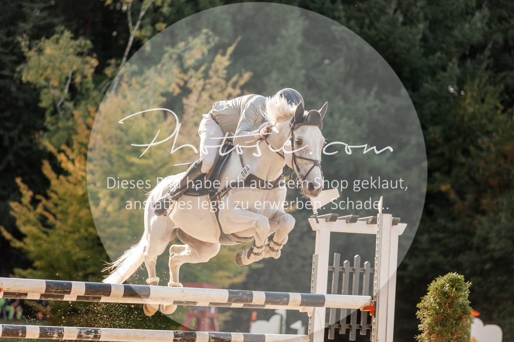 3I6A4969 | Stimmungsvolle Portraits und Reitsportfotografie im Ruhrgebiet und im Münsterland.

Pferdefotografie, Hundefotografie, Tierfotografie, Reportagen, Portraits von Tier und Mensch, Turnierfotografie in Bochum, Recklinghausen, Marl, Haltern am See, Dülmen.. - Realisiert mit Pictrs.com