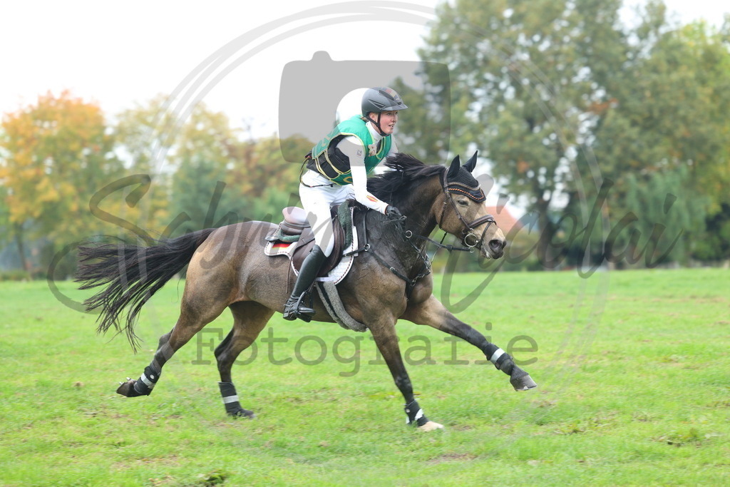 994A3264 | sabrinanicolaifotografie - Realisiert mit Pictrs.com