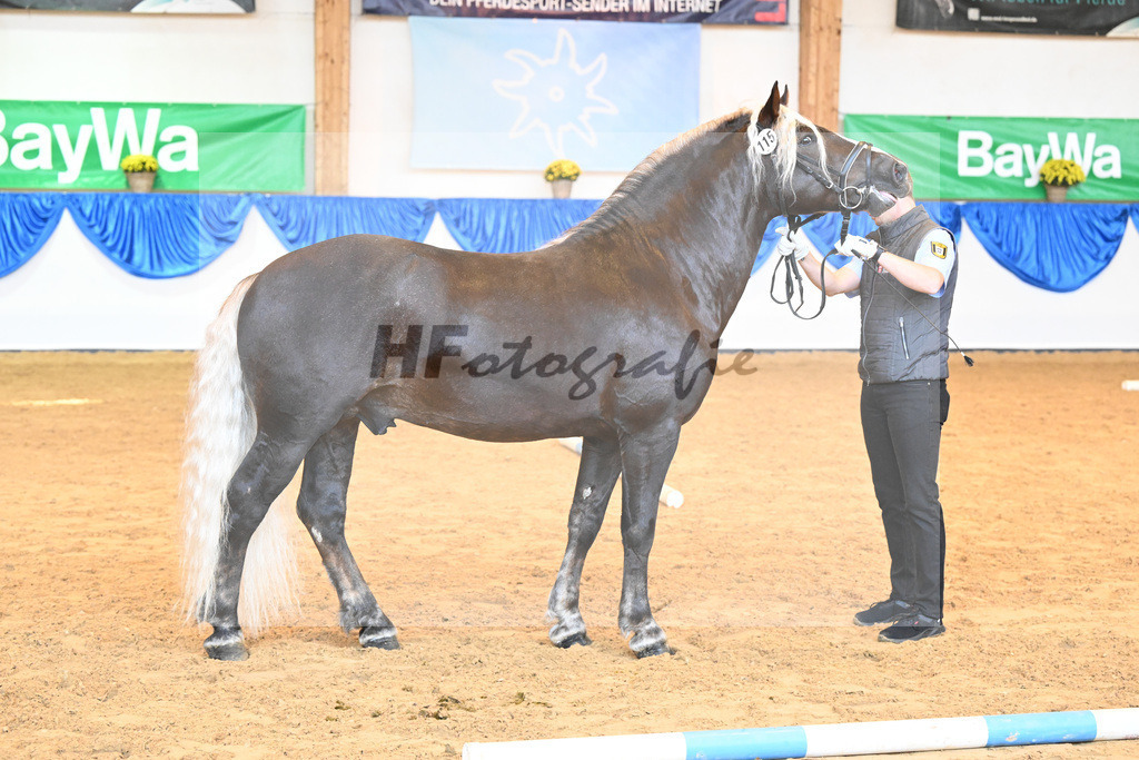 Kat-Nr. 115 Rodewald_HLG Marbach_53220817 | hf-fotografie - Realizzato con Pictrs.com