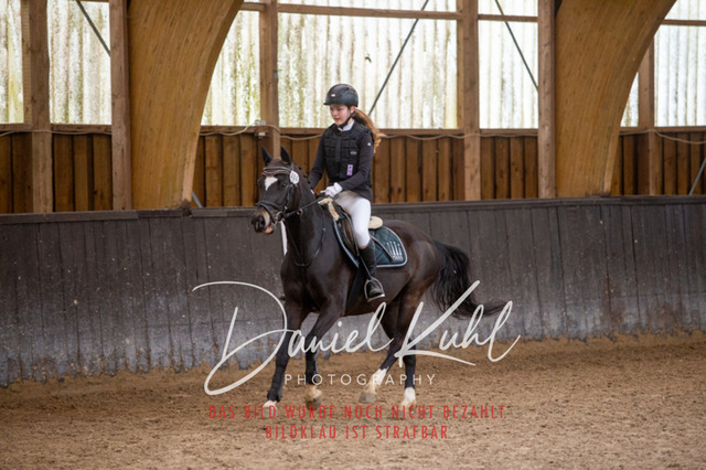 IMG_1748 | Turniersportfotografie; Pferdefotografie; Dressurfotografie