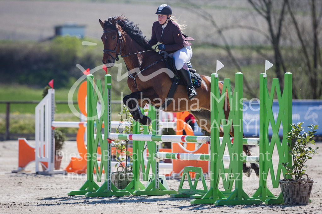 220416_3_A-Springen2-416 | Frühlingsfest der Pferde
Herford
16.April 2022
03/2 Sprigprüfung mit steigenden Anforderungen Kl. A** geschlossen 44-481 RLP