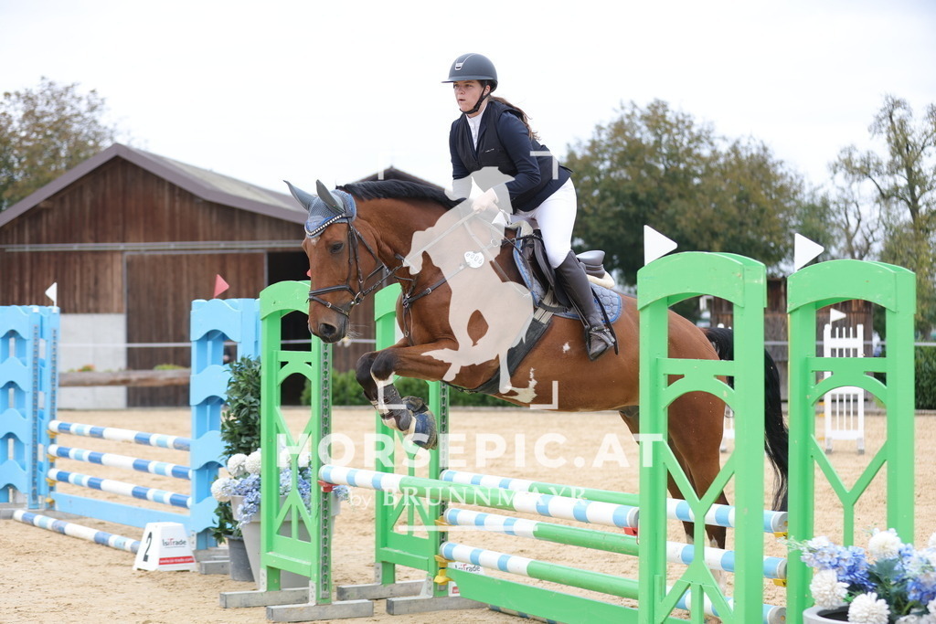 0P6A2513 | Willkommen bei Brunnmayr - Design & Fotografie – Ihrem Spezialisten für Reitturniere und Pferdeveranstaltungen in Oberösterreich, Salzburg und Bayern! Seit über 17 Jahren sind wir leidenschaftlich dabei.