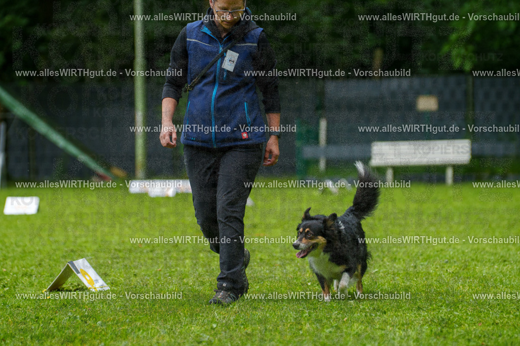 @allesWIRTHgut_Tierfotografie - www.allesWIRTHgut.de - 7R501963 | Professionelle Tierfotografie in Mönchengladbach von Daniel Wirth (allesWIRTHgut). Liebevolle & natürliche Bilder von Hunden & Katzen für unvergessliche Erinnerungen.