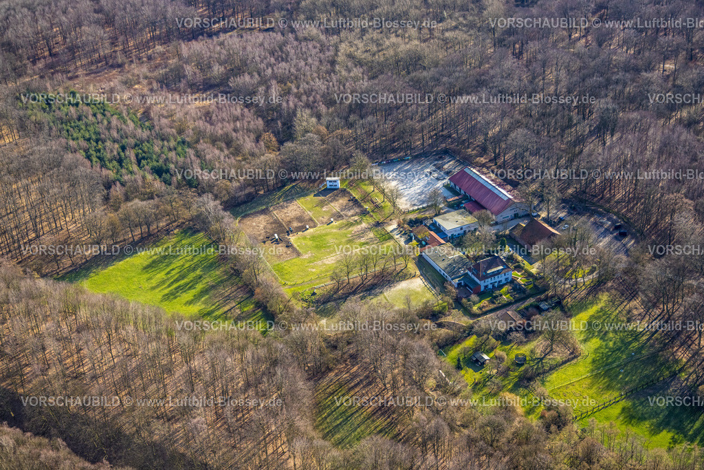 Gelsenkirchen230211130 | Luftbild, Reitanlage Möller, Ländlicher Reit- und Fahrverein Gelsenkirchen-Buer, im Wald, Buer, Gelsenkirchen, Ruhrgebiet, Nordrhein-Westfalen, Deutschland
