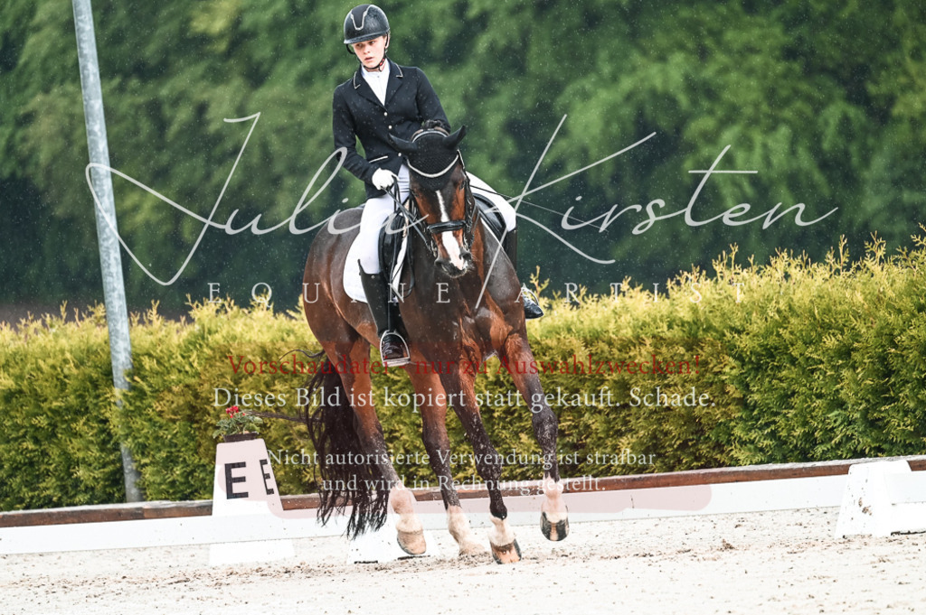 DSC_4167 | Pferde- und Turnierfotografie in Westsachsen. Pferdeportraits, Auftragszeichnungen und intuitive Kunst.