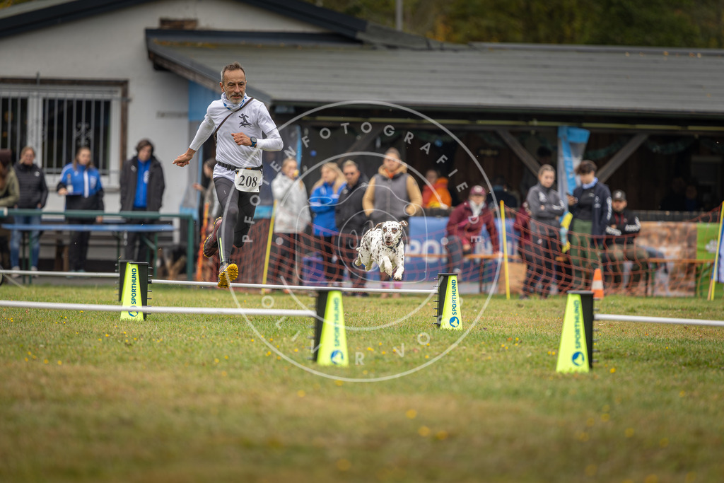 Pfotenfotografie_DV3A1810 | Hundefotografie, Tierfotograf, Pfotenfotografie, Fotoshooting Hund, Hunde Portrait, Hundesport, Hundeportraits, Heideshooting, Hunde, Sportfotograf, Hundefotograf, Turnierhundsport, THS,  - Realisiert mit Pictrs.com