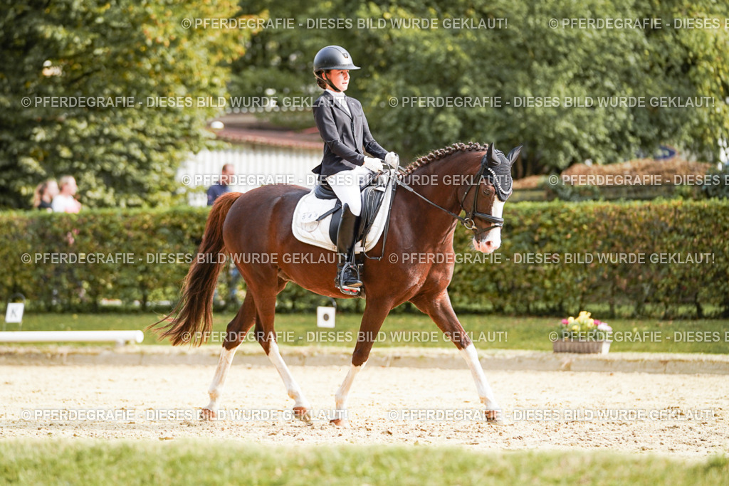 DSC05270 | Pferdegrafie