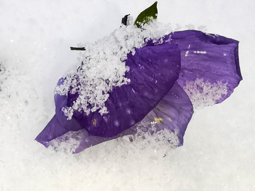 PSX_20230118_221338 | mtkfoto_ - Realisiert mit Pictrs.com