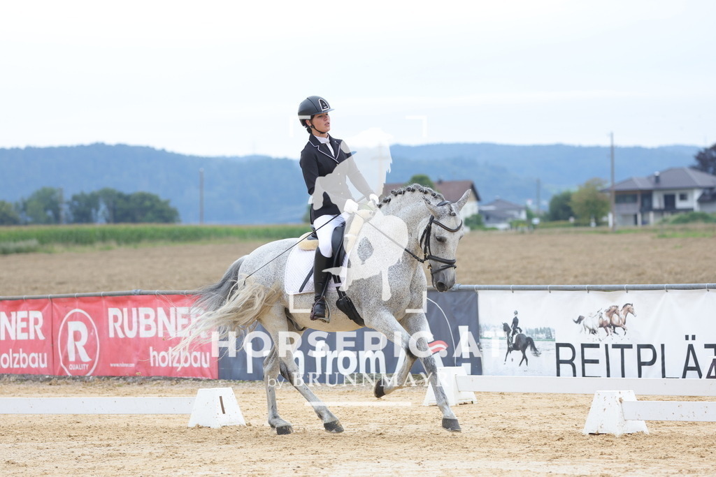 0P6A7503 | Willkommen bei Brunnmayr - Design & Fotografie – Ihrem Spezialisten für Reitturniere und Pferdeveranstaltungen in Oberösterreich, Salzburg und Bayern! Seit über 17 Jahren sind wir leidenschaftlich dabei.