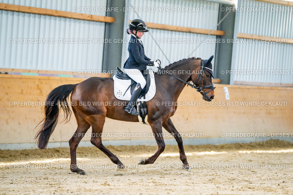 DSC06385 | Pferdegrafie