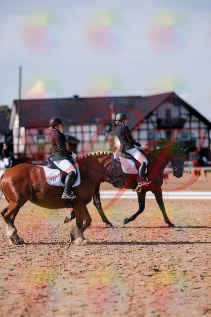 2026_10_03_Siefer-Hof_130139_Z81_53717512 | Professionelle Reitsport-, Turnier- und Eventfotografie von Robert Broda. Galerien mit ausgewählten und bearbeiteten Bildern direkt online ansehen und bestellen.