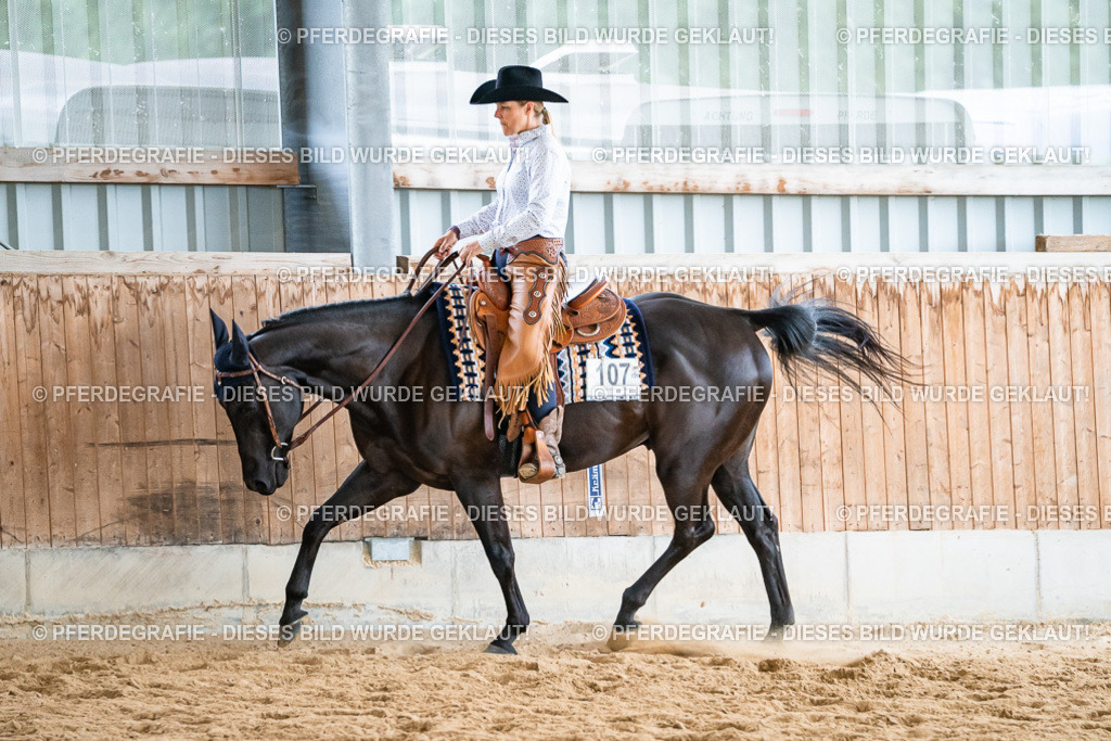 DSC00404 | Pferdegrafie