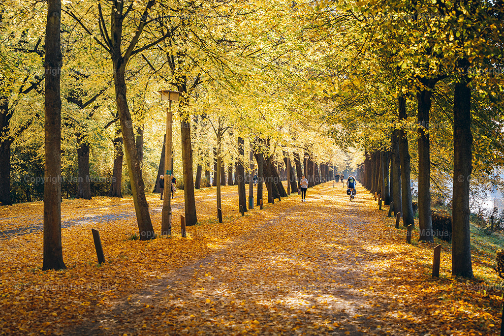 _DSC7441 | Leipzig Wandbilder Drucke Prints Leinwand Stadtmotive Leipzig Fotosdruck Kunstdrucke Bilder Leipzig Stadtansichten Acrylglasbilder Leipzig Wanddeko Fine Art Prints Wandbilder Büro Leipzig Bilder Praxis Zuhause Bilderdruck Poster Posterlounge Kunstdrucke - Realisiert mit Pictrs.com