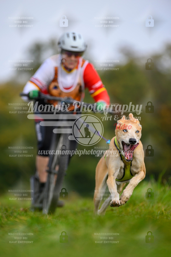 MompixPhotography_CDLBDB2025_DI_DS-80 | PayLife