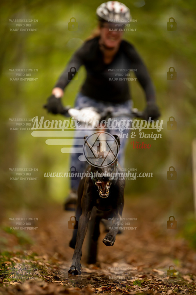 TSB_2023_E1_Bike-24 | PayLife