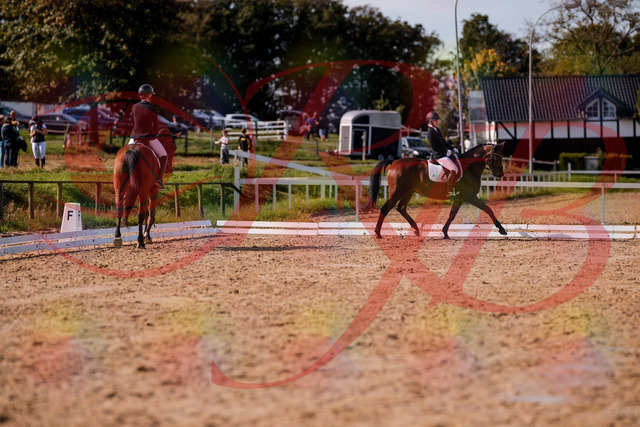 2026_10_03_Siefer-Hof_130804_Z81_59578098 | Professionelle Reitsport-, Turnier- und Eventfotografie von Robert Broda. Galerien mit ausgewählten und bearbeiteten Bildern direkt online ansehen und bestellen.
