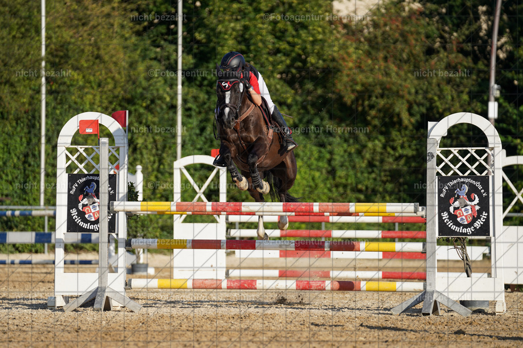 20240824-FAH08772 | Thierhaupten 2024, Bayerisches Landesponyturnier, Turnierbilder, Ponybilder, Turnierfotografen Bayern, Fotoagentur Herrmann