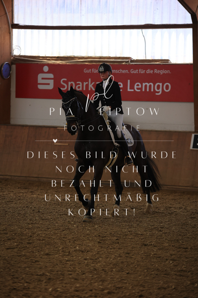 IMGT3886 | pl-fotografie