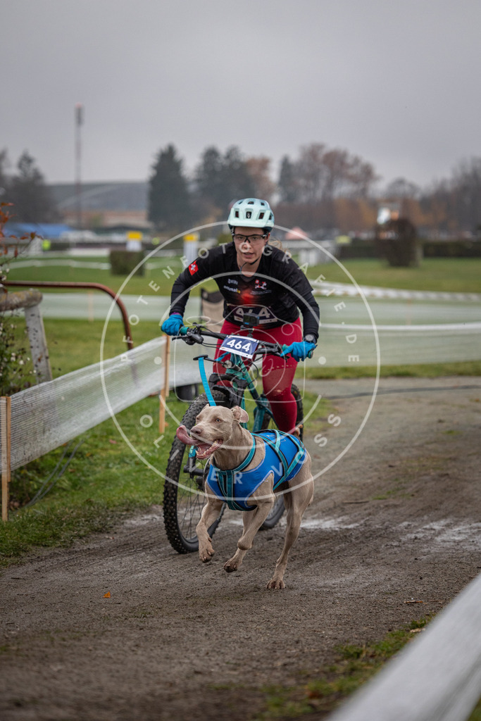 CaniXpix_0L8A1704 | Hundefotografie, Tierfotograf, Pfotenfotografie, Fotoshooting Hund, Hunde Portrait, Hundesport, Hundeportraits, Heideshooting, Hunde, Sportfotograf, Hundefotograf, Turnierhundsport, THS,  - Realisiert mit Pictrs.com