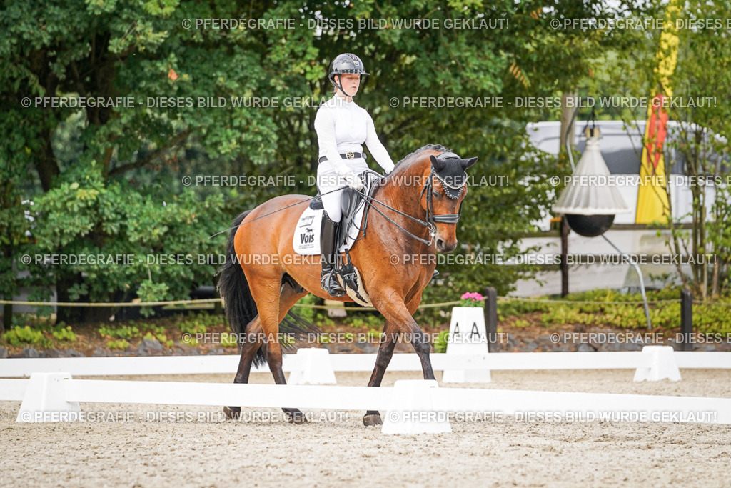 DSC06714 | Pferdegrafie