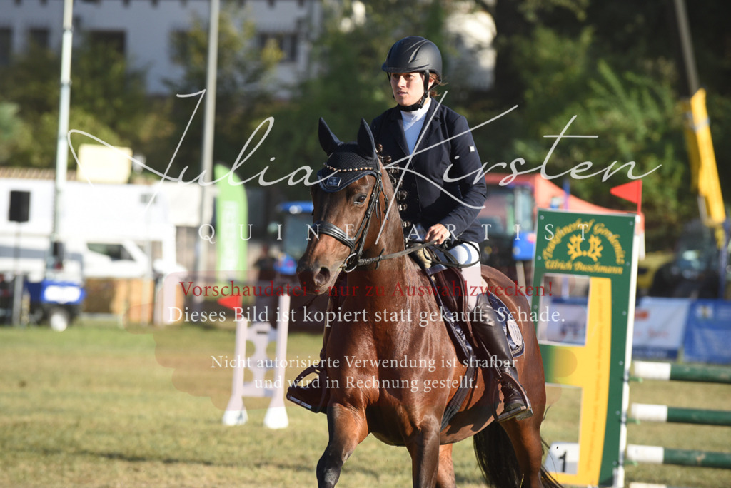 DSC_4909 | Pferde- und Turnierfotografie in Westsachsen. Pferdeportraits, Auftragszeichnungen und intuitive Kunst.