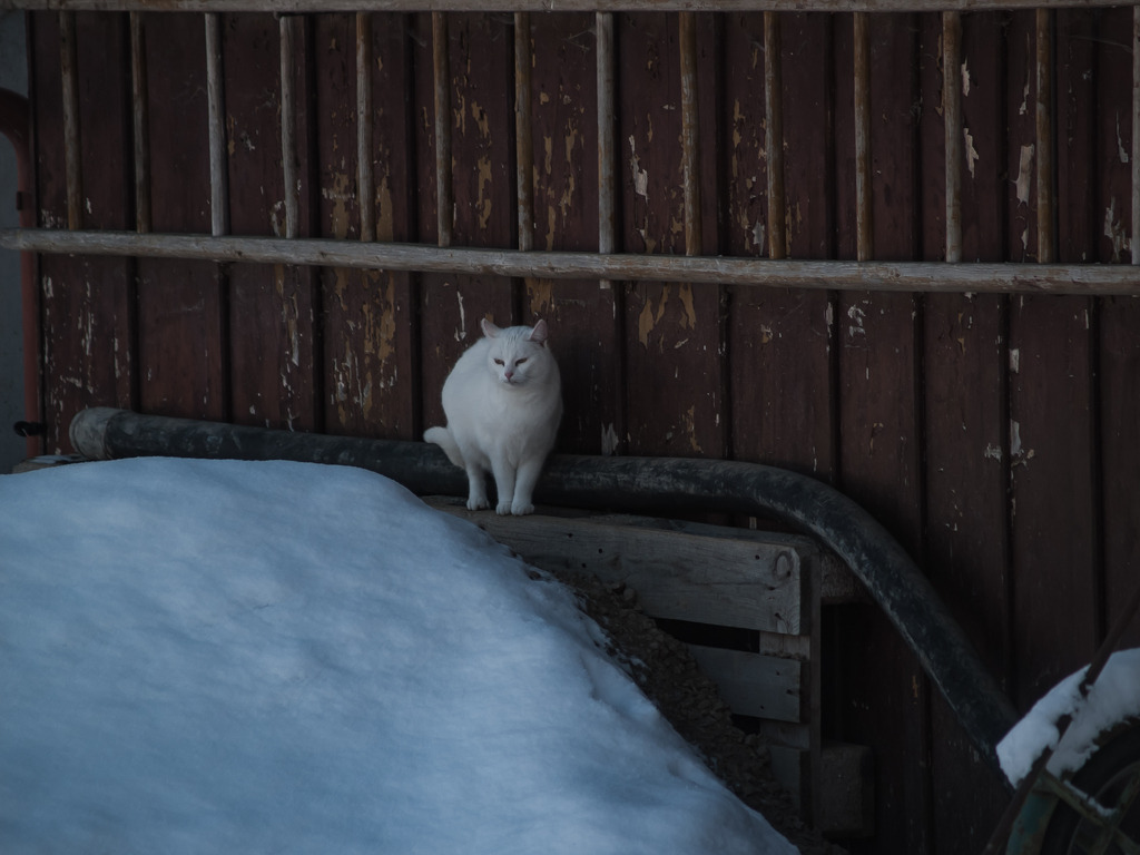 PSX_20230210_235423 | OLYMPUS DIGITAL CAMERA - Realisiert mit Pictrs.com