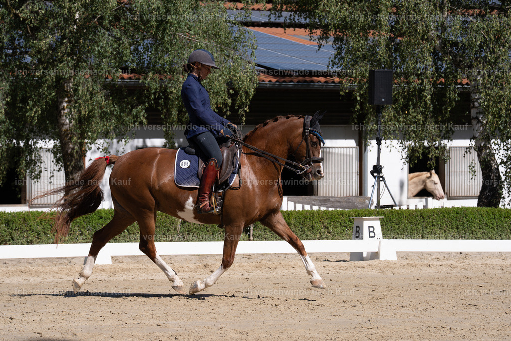 WL_DR_86_sinafilmart_IN07002 | working equitationturnier fotograf videograf stoibphotography marixx film working equitation deutschland reitsport turnierfotografie eventfotografie equestrian events