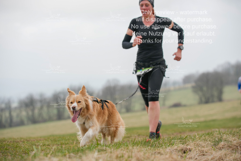 Canixlong-356 | stephaniefillaphotographie - Realisiert mit Pictrs.com