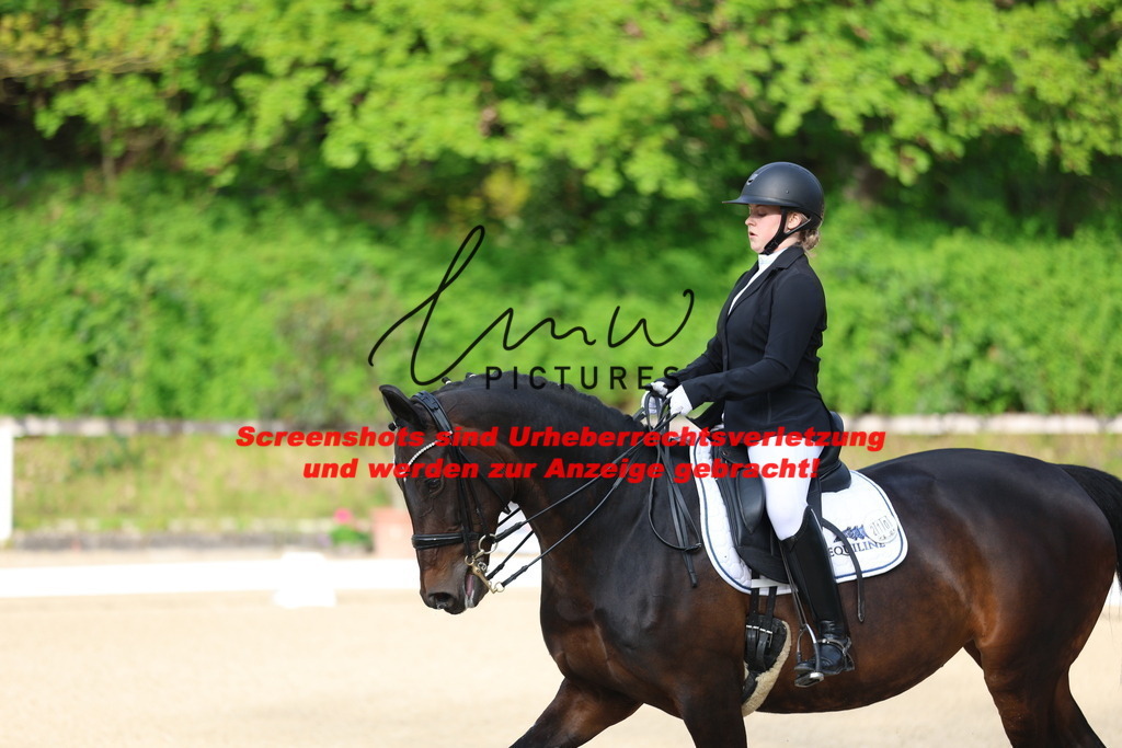 A40A3128 | lmwpictures - Realisiert mit Pictrs.com