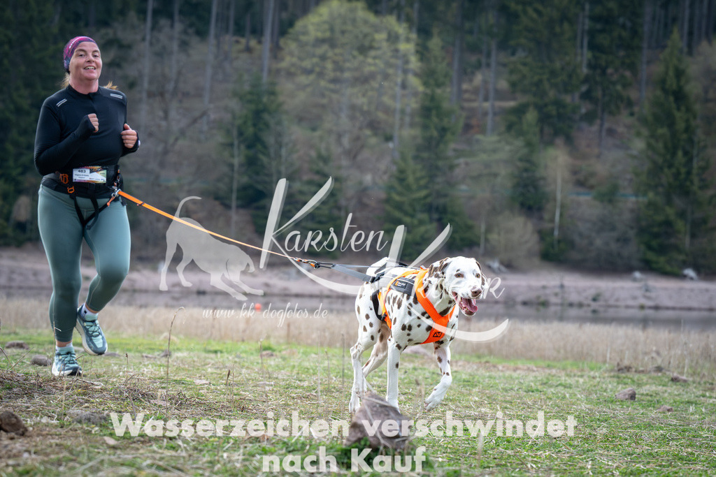 1819_ZZ95817 | kk-dogfotos