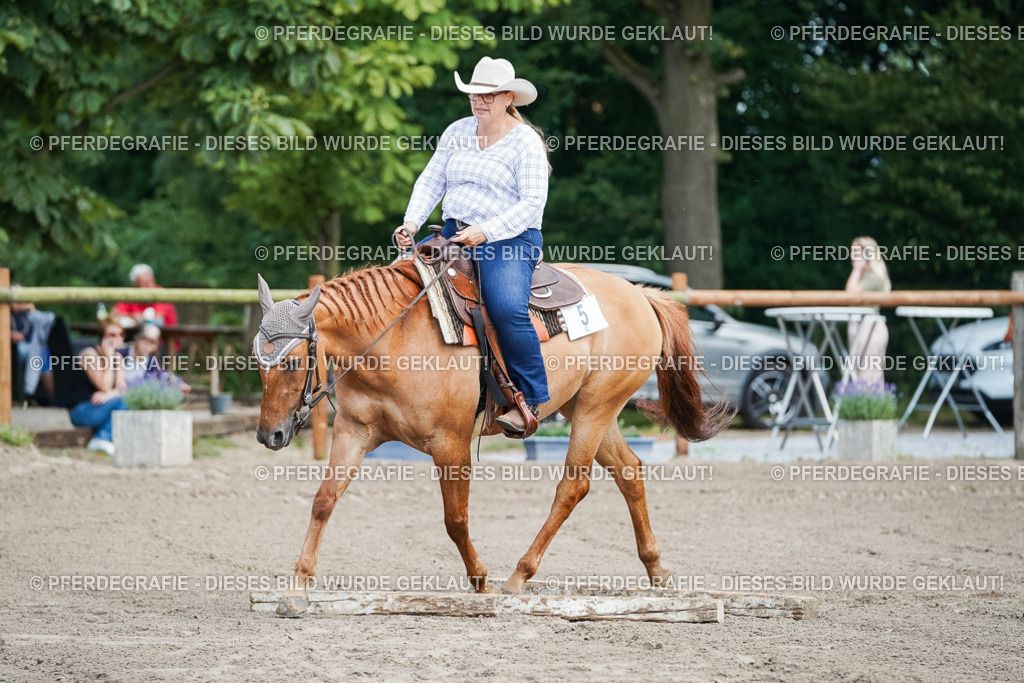 DSC05900 | Pferdegrafie