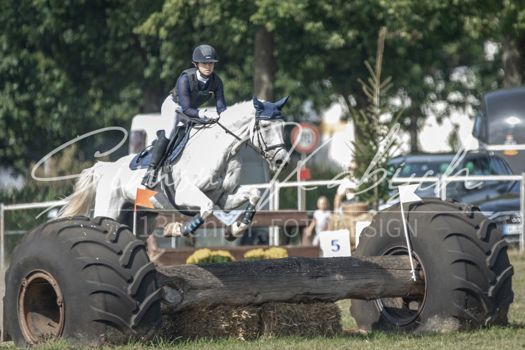 20250907-_3LR7876 | Tierfotografie Pferde, Hunde, Katzen, Haustiere.
Turnierfotografie Reitturniere, Reiten, Springreiten, Dressur in Hanau, dem Main-Kinzig-Kreis und dem Rhein-Main- Gebiet um Frankfurt