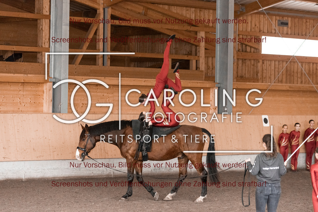 DSC_2103 | Turnierfotografin Carolin Gieschke,Reitsport Turnierfotografie Carolin G Fotografie | Turnierfotos aus Kirchheim/Teck, Esslingen, Stuttgart und dem Bodenseekreis