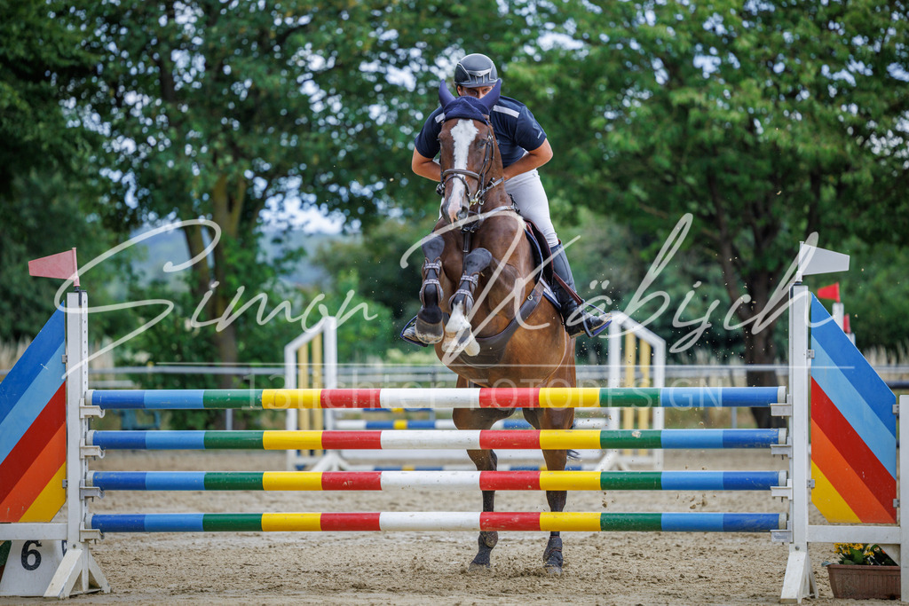 20260705-_3LI5985 | Tierfotografie Pferde, Hunde, Katzen, Haustiere.
Turnierfotografie Reitturniere, Reiten, Springreiten, Dressur in Hanau, dem Main-Kinzig-Kreis und dem Rhein-Main- Gebiet um Frankfurt