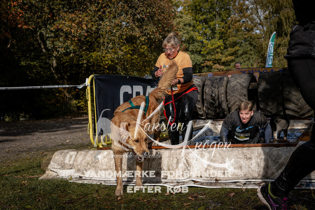 1304_ZZ91861 | kk-dogfotos